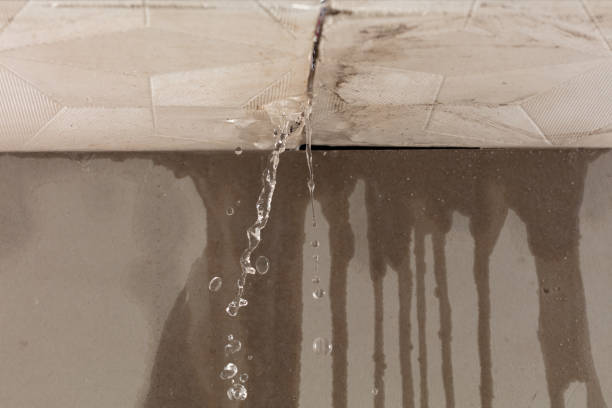 Professional Water Damage Repair technician working in Egypt, AL
